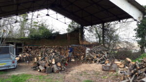 revalorisation des déchets arbres d'oc