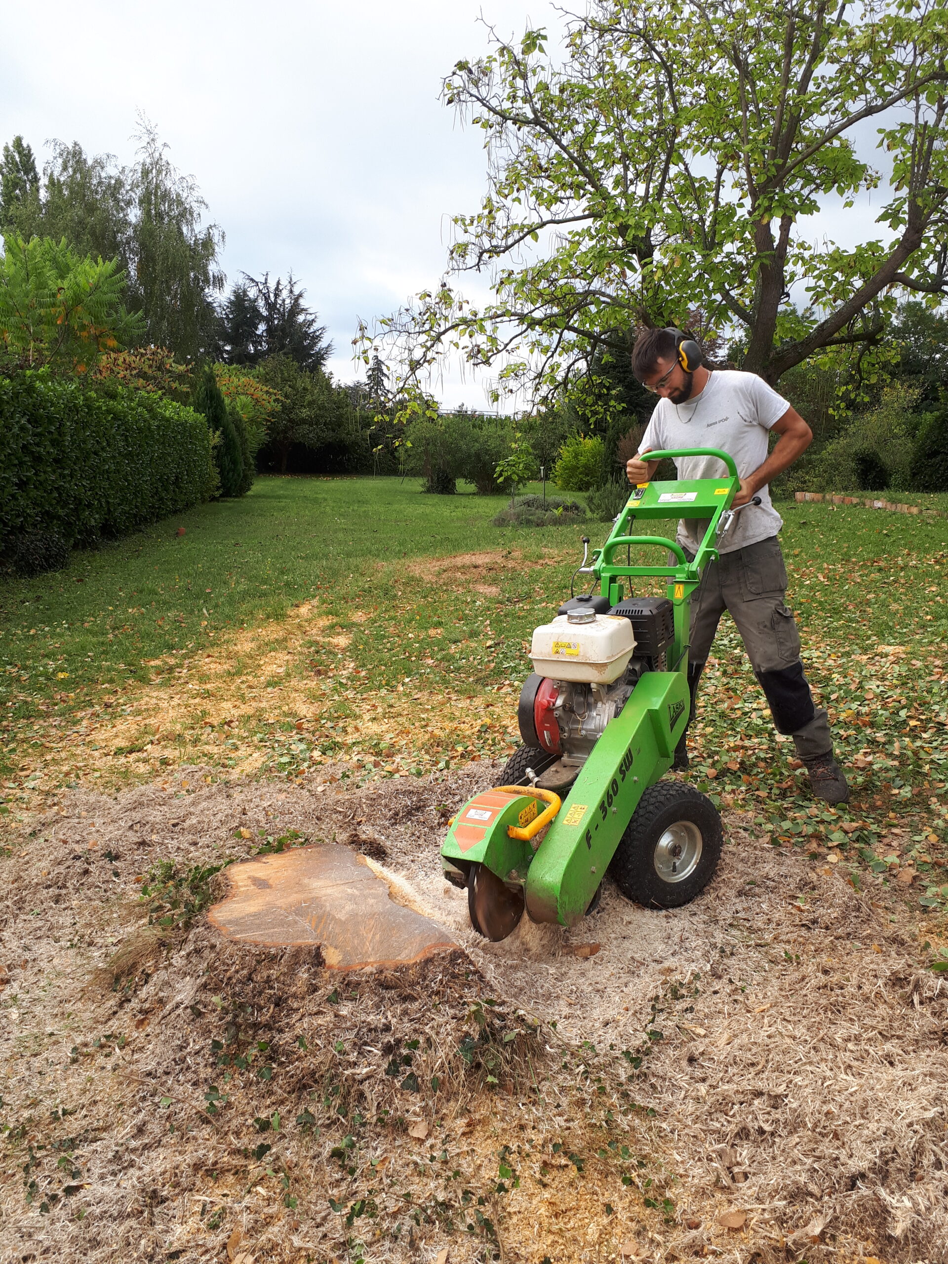 elagueur toulouse rouffiac tolosan arbre d'oc pascal biau