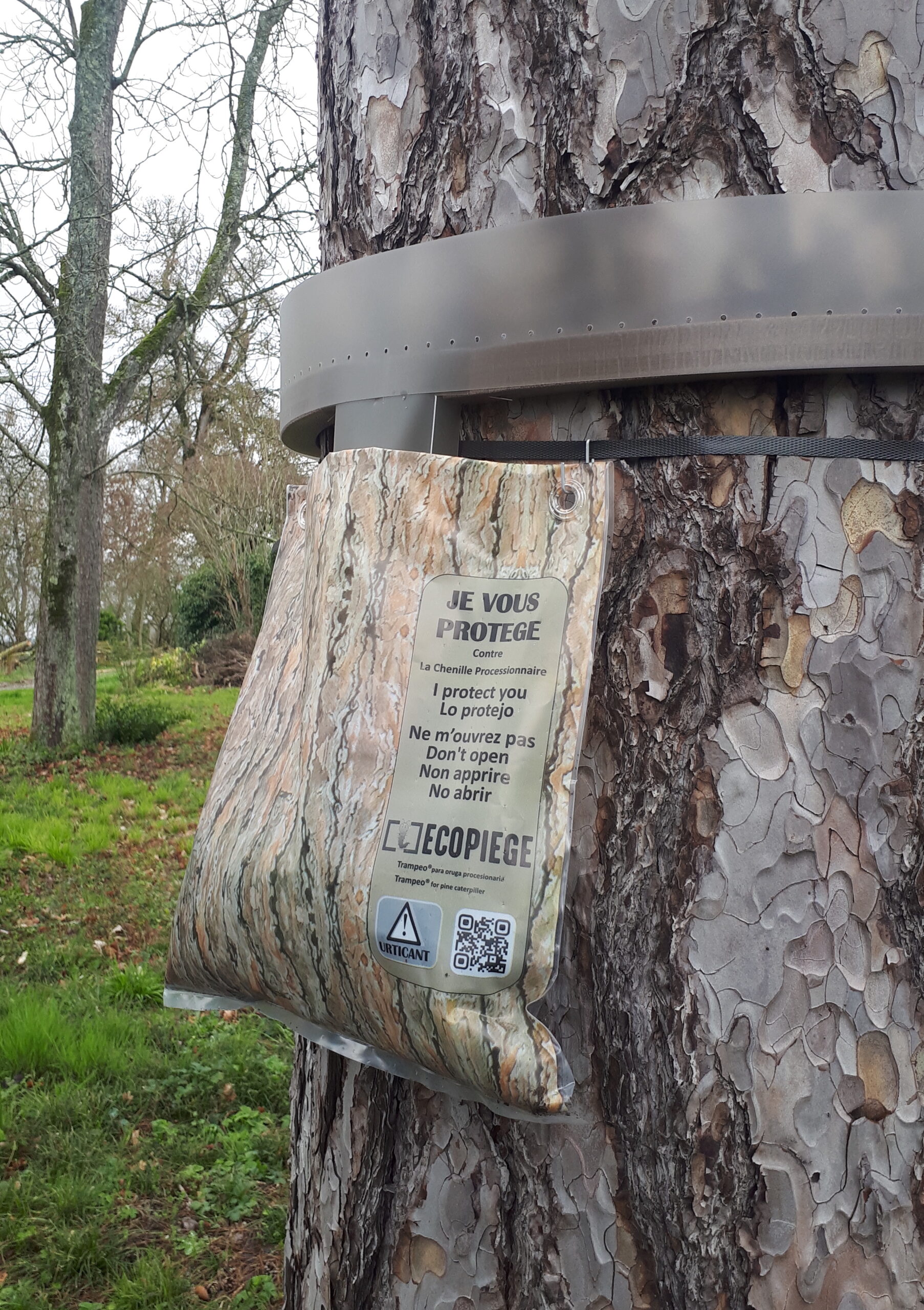 elagueur toulouse rouffiac tolosan arbre d'oc pascal biau traitement nuisibles