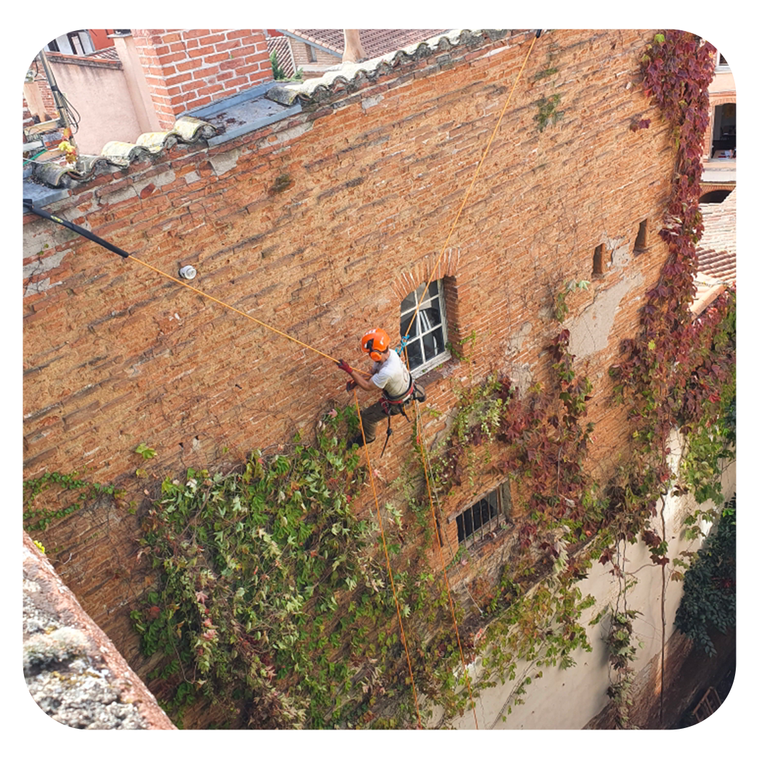 elagueur toulouse rouffiac tolosan arbre d'oc pascal biau