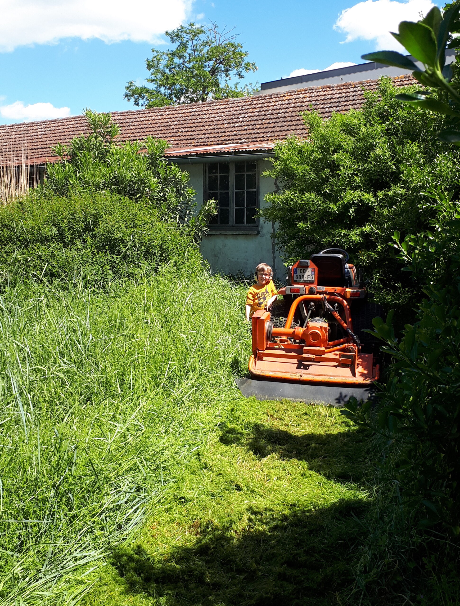 elagueur toulouse rouffiac tolosan arbre d'oc pascal biau débroussaillage